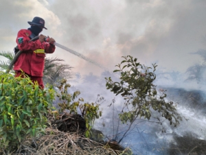 Karhutla Pematang Lumut Belum Padam, Tim Gabungan Lanjutkan Pemadaman Minggu Pagi