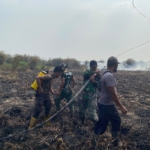 Tim Gabungan Lakukan Pendinginan Karhutla di Desa Rantau Panjang, Muaro Jambi