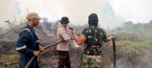 Tim Gabungan Padamkan Karhutla di Kumpeh Ulu, 10 Hektare Lahan Berhasil Dipadamkan