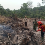 Tim Gabungan Padamkan Hotspot di Desa Pelayangan Batanghari, Luas Lahan Terbakar ±0,8 Hektare