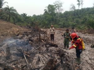Tim Gabungan Padamkan Hotspot di Desa Pelayangan Batanghari, Luas Lahan Terbakar ±0,8 Hektare