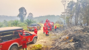 Situasi Karhutla Jambi, 144 Hotspot Terdeteksi dan 4.267,51 Hektare Lahan Terbakar