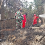 Tim Gabungan Padamkan Karhutla di Sungai Pulai Batanghari, Setengah Hektare Lahan Terbakar